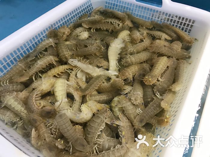 鱼螺满筐蒸汽海鲜(怡丰城店)图片 - 第5张
