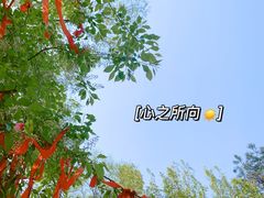 -沈阳植物园
