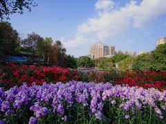-荔湾湖公园