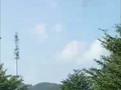 -亚龙湾国际玫瑰谷