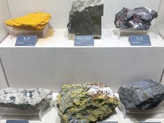 -安徽省地质博物馆