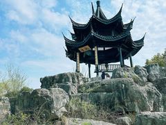 -贡湖湾湿地公园