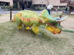 -自贡恐龙博物馆