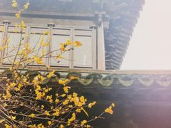 -三林塘老街