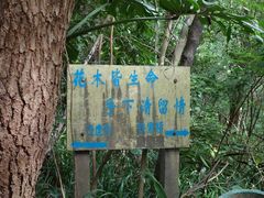 -白云山风景名胜区