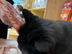 -中农大我爱我爱动物医院·核磁CT·猫病·24小时夜诊中心(石佛营店)