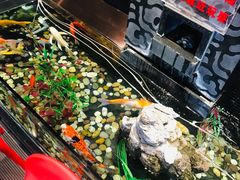 -金太阳海鲜烧烤·本地人餐厅(东纬路旗舰店)