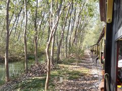 -合肥滨湖国家森林公园