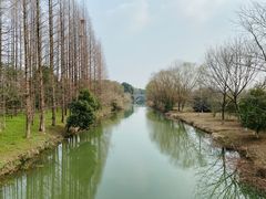 -南湖湿地公园