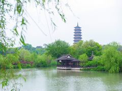 -盆景园(扬州大运河文化旅游度假区)