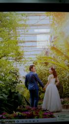 android_upload_pic-戛纳印象摄影(潮拍定制馆)