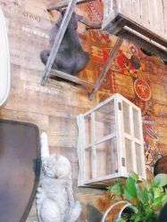 -青木造型HAIR·あおき髪を刈る潮人店