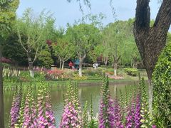 -上海鲜花港