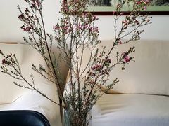 -荷兰布尔玛国际花艺学院
