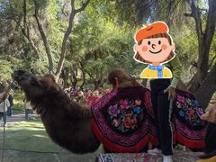 -天山天池风景区-西王母祖庙