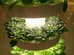 -卡吉诺动物奶油生日蛋糕(东明路店)