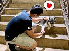 大堂-more than meow吴止猫主题餐厅(承德 中船汇店)