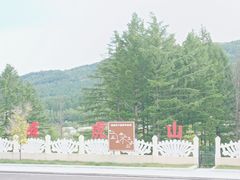 -横道河子东北虎林园