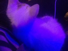 -星宿秘码(鼓浪屿老店)