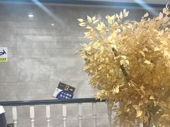 -重庆两江夜游-交运系列