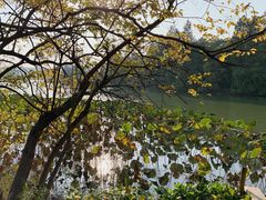 -东湖落雁景区