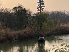 -洛阳市隋唐城遗址植物园