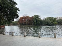 -荔湾湖公园