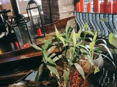 -红蜡烛-养生粥-津鲁菜(中山路店)