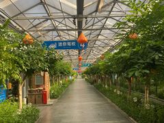 -南宫五洲植物乐园