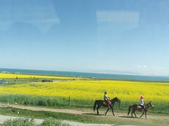 -青海湖国家重点风景名胜区