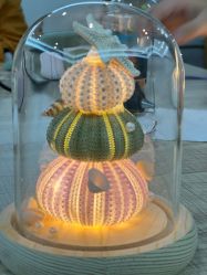 -季橙月子护理中心