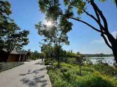 -东郊湿地公园