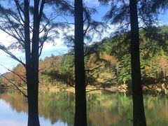 -四明山国家森林公园