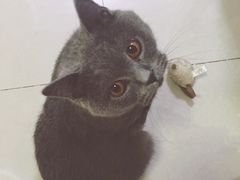 -睿金宠物医院·CT·肿瘤·骨外科