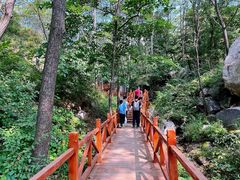 -大岭沟猕猴桃谷风景区