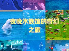 -蓬莱欧乐堡海洋极地世界