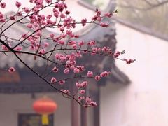 -国家图书馆·古籍馆