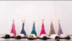 -亚太瑜伽普拉提学院