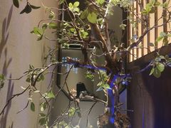 -绿茶餐厅(南昌王府井店)