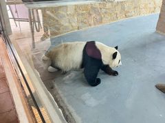 -无锡动物园·太湖欢乐园