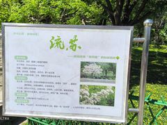 -泰丰公园