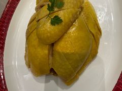 -圆苑(静安寺店)