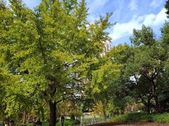 -苏州河梦清园环保主题公园