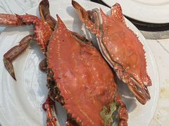 -半岛听涛蒸汽海鲜自助(K11店)