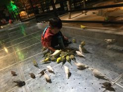 -酷嗒动物文化乐园(cutezoo西溪乐天城店)