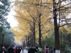 -四川大学(华西校区)