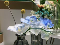 -EPOQUE·一刻花店(兴业太古汇店)