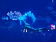 -烟台海昌鲸鲨海洋公园
