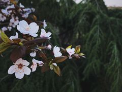 -大连海事大学游泳馆