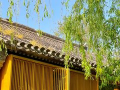 -春风习习
